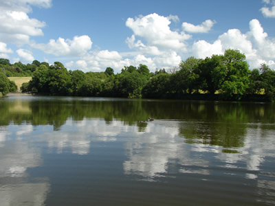 Litton Lower Lake